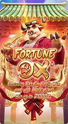 rrpp · Fortune Ox